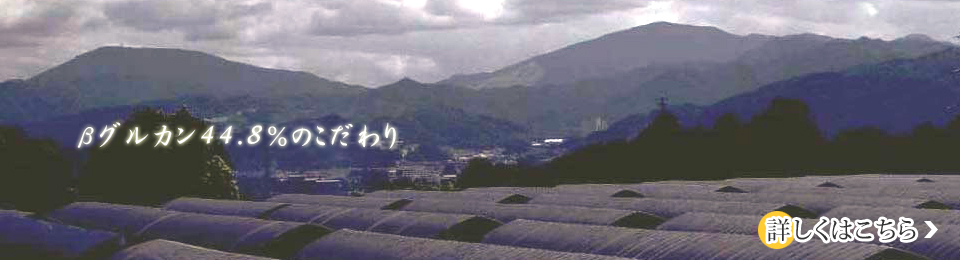 ���O���J��44.8���̂������