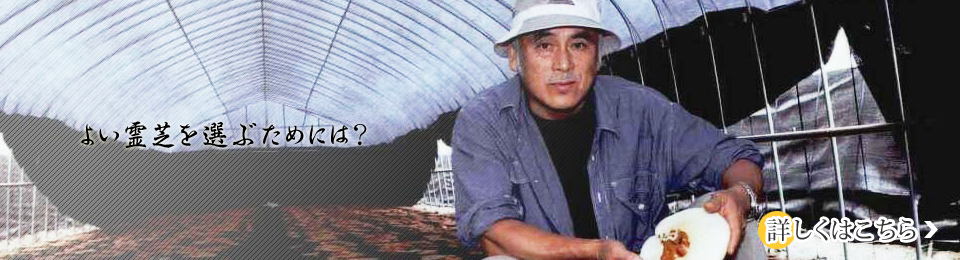 �悢��ł�I�Ԃ��߂ɂ́H