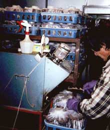 ��ۂ̔|�{�ƐA�t��