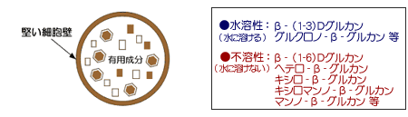 �L�p����