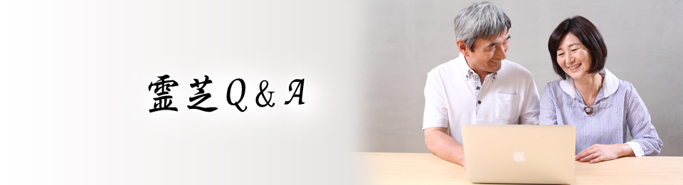 霊芝に関するさまざまな質問にお答えします。